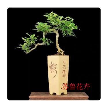 自然驱蚊又美观 打造自制花草驱蚊工艺品