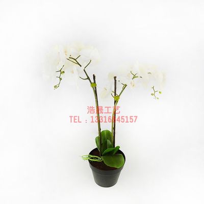 东莞厂家直销，优质仿真盆栽装饰，定制您的理想塑料植物盆景