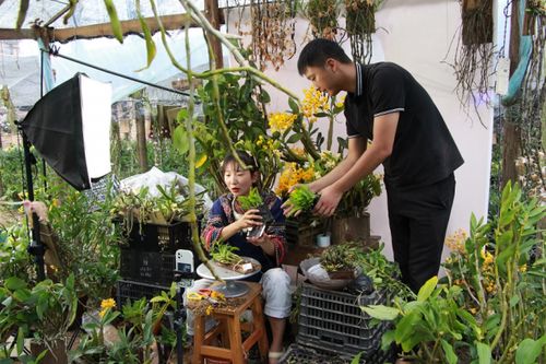 90后小伙解锁电商密码，云南龙陵花卉年销突破千万元